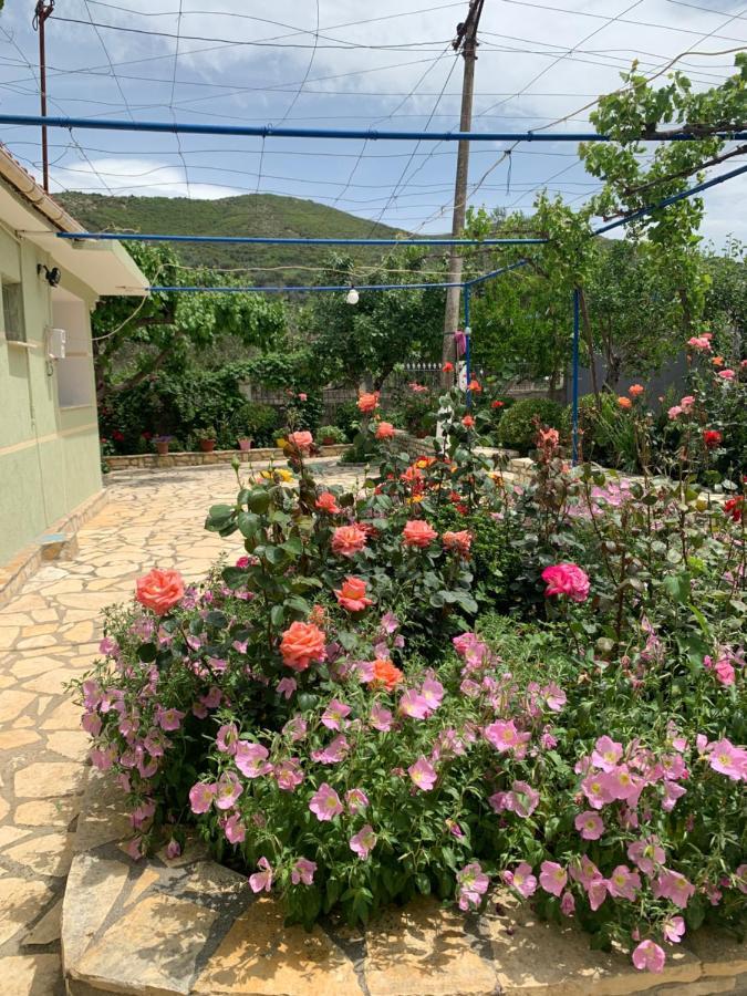Vjosa Guest House Memaliaj エクステリア 写真