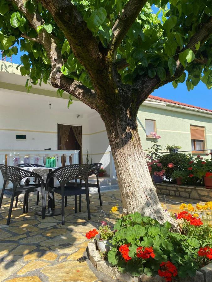 Vjosa Guest House Memaliaj エクステリア 写真