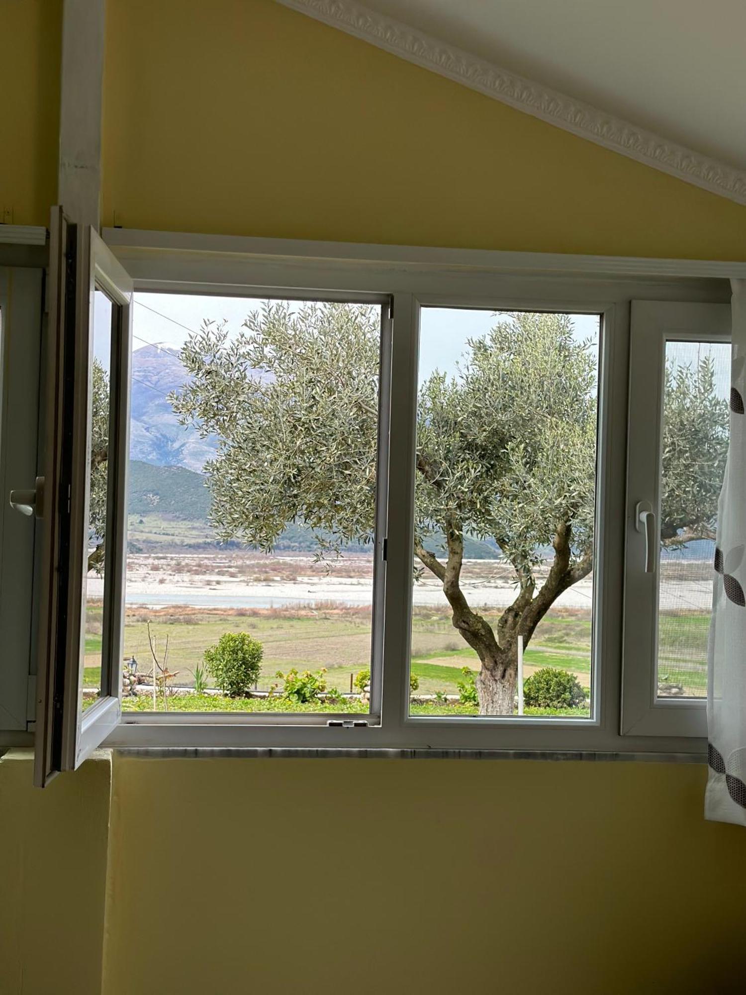 Vjosa Guest House Memaliaj エクステリア 写真